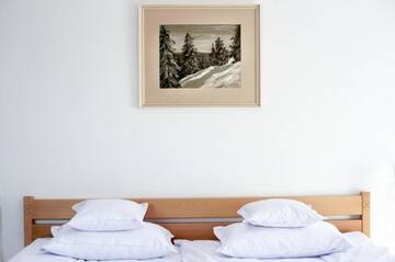 Фото номера Улучшенный двухместный номер с 1 кроватью Курортные отели Lobogo Resort г. Влэхица 5