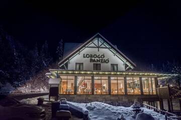 Фотографии Курортные отели Lobogo Resort г. Влэхица (Румыния) №2 Фото Курортные отели Lobogo Resort г. Влэхица 2